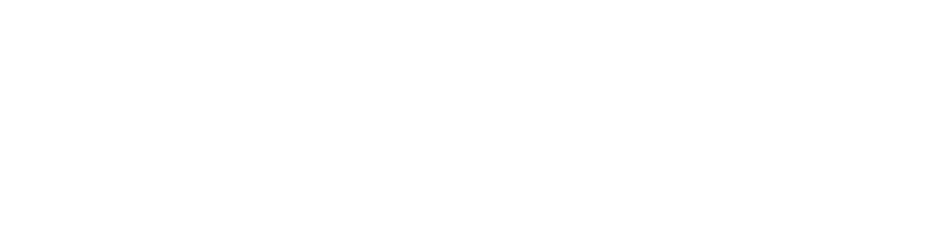 silesian-space